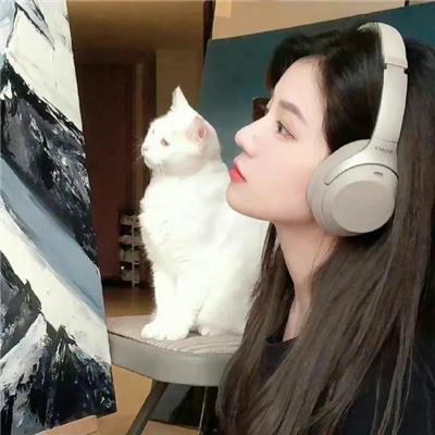 卧虎传说